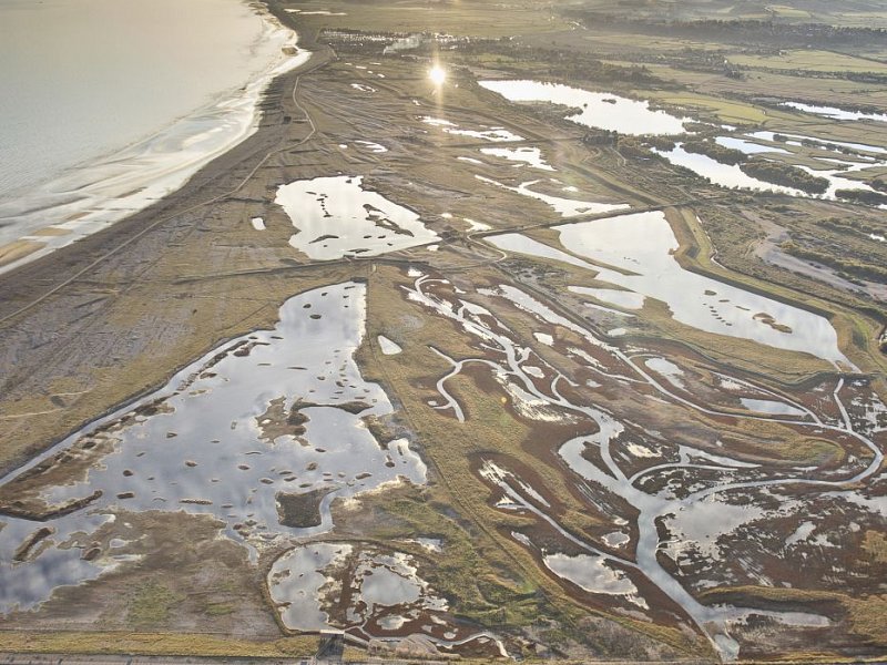 Huge funding boost for Rye Harbour Nature Reserve project